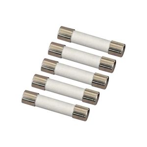 AEMC Instruments Fuse - Set of 5, FF, 0.63A, 250V, 1.5kA, 5x20mm for Models 6470-B, 6471 & 6472 # 2135.81