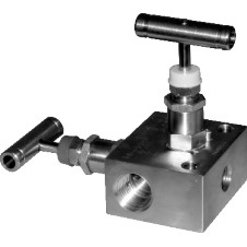 Aplisens VM-2-R/R 2-Valve Manifold, 1/2 NPT # VM-2-R/R
