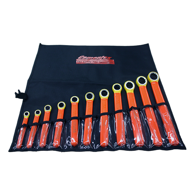 Cementex IBEWS-11M