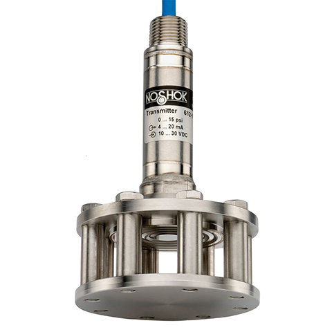 NOSHOK 613 Series Cage-Protected Submersible Level Transducer # 613