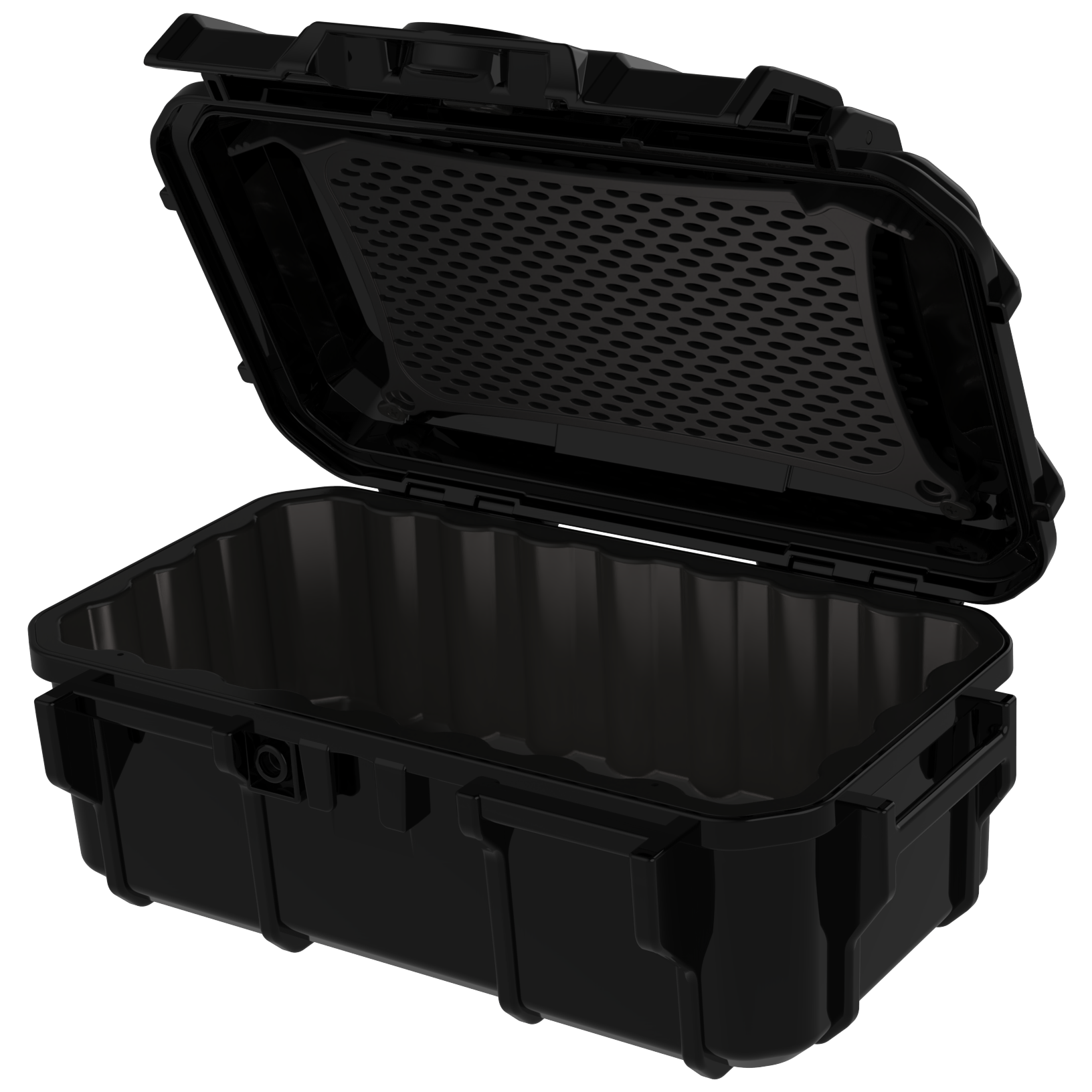 Ralston LC-CASE-DUAL