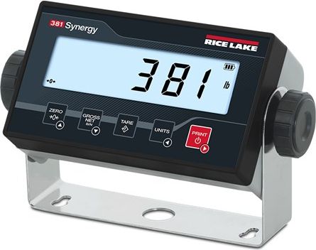 381 Synergy Series Digital Weight Indicator