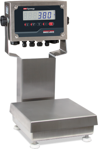 Ready-n-Weigh Bench Scale System CW-90B Scale Base 380 Indicator Package