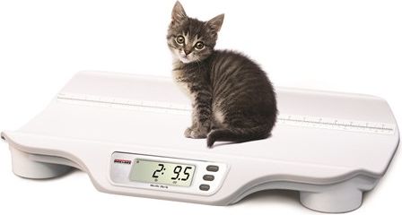 Rice Lake VS-10 Digital Companion Animal Scale
