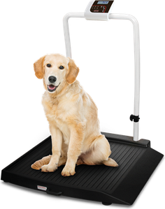Scale, Rice Lake VS-34 1000lb(450kg) x 0.2lb(100g) with (1) 9.25in. Ramp includes 6 AA size Alkaline batteries