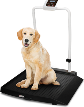 Rice Lake VS-34 Single-ramp with Handrail Companion Animal Scale