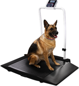 Scale, Rice Lake VS-35 1000lb(450kg) x 0.2lb(100g) with (2) 9.25in. Ramps includes 6 AA size Alkaline batteries