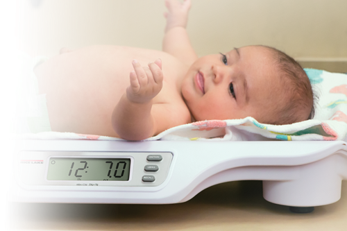 RL-DBS Digital Baby Scale