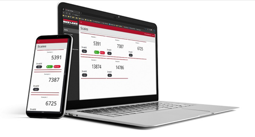 RL Web Display Remote Scale Monitoring Software