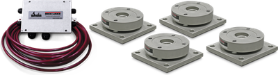 Rice RL9000TWM Series Weigh Module Kit Lake Mount Assembly, RL9000TWM 1K 1000 lb SST WS /V 25 ft FM