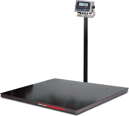 RoughDeck® Rough-n-Ready System, Floor Scale and 380 Indicator