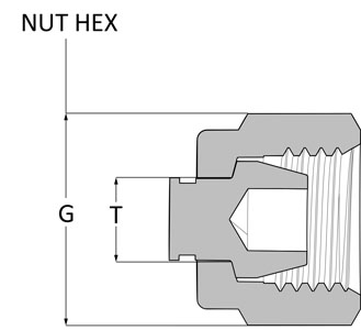 ISSDM6P