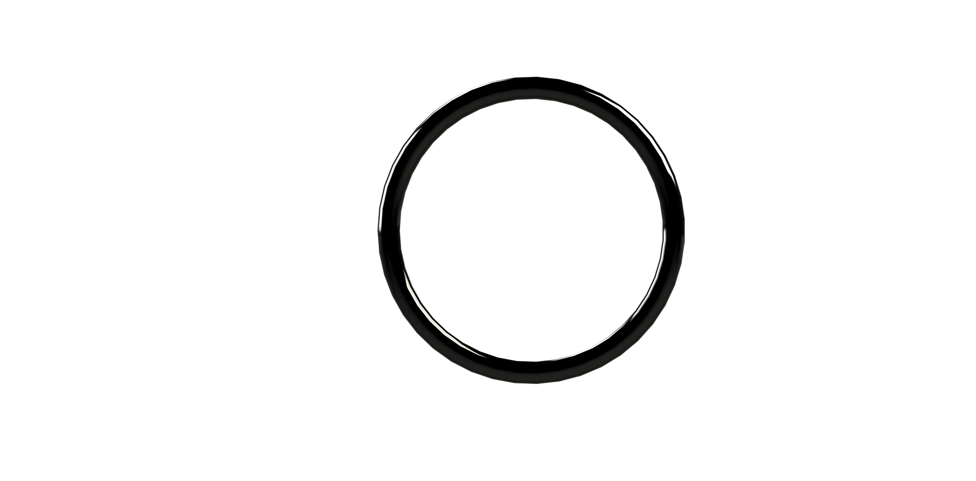 SSP #16 Teflon Ring # 16TR