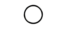 Face Seal O-Ring