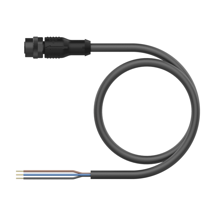 Actuator and Sensor Cable - Connection Cable (EKRP-A4.300-GC2K-10)