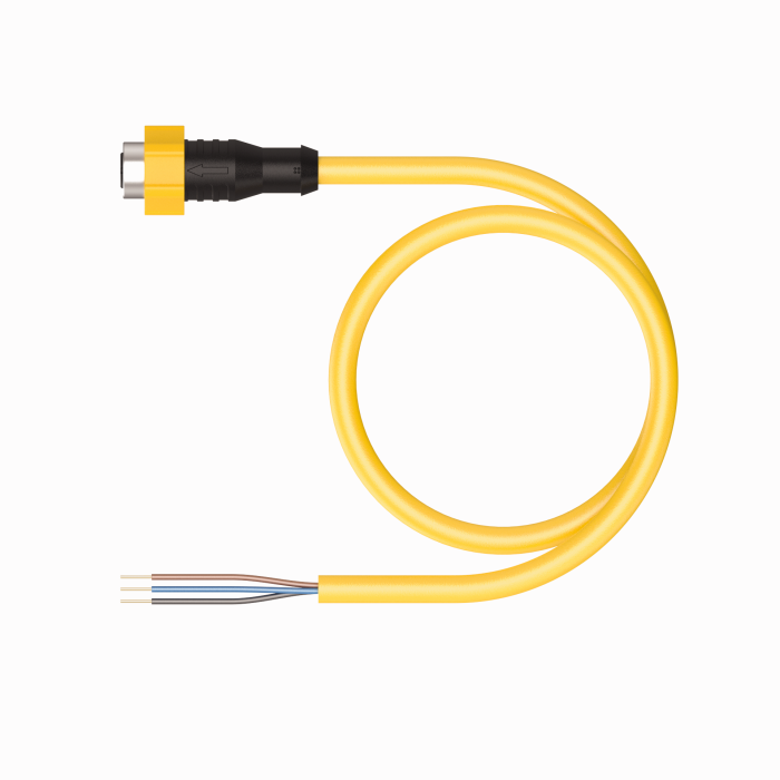 Actuator and Sensor Cable - Connection Cable (EKRT-A4.300-GC2Y-10)