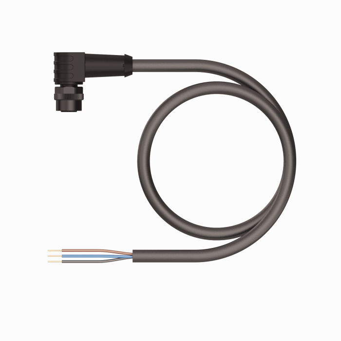 Actuator and Sensor Cable - Connection Cable (EKWP-A4.300-GC2K-10)