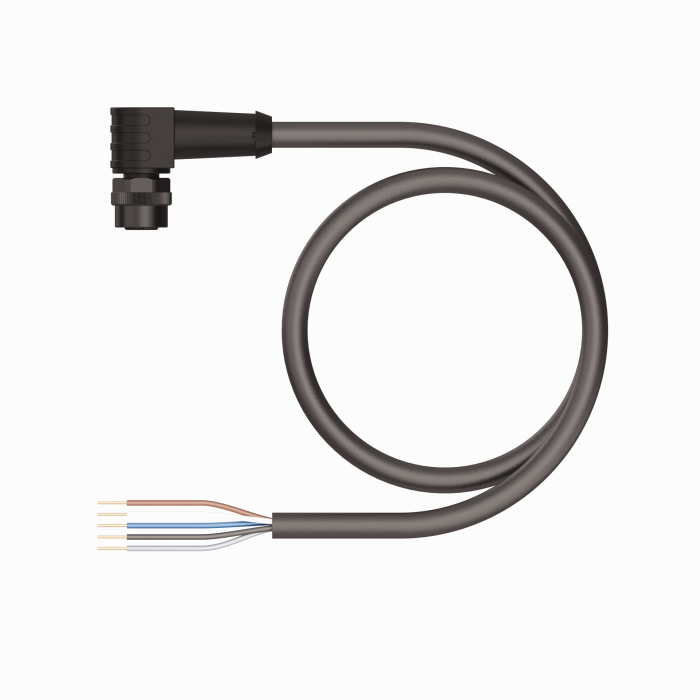 Actuator and Sensor Cable - Connection Cable (EKWP-A5.500-GC2K-10)
