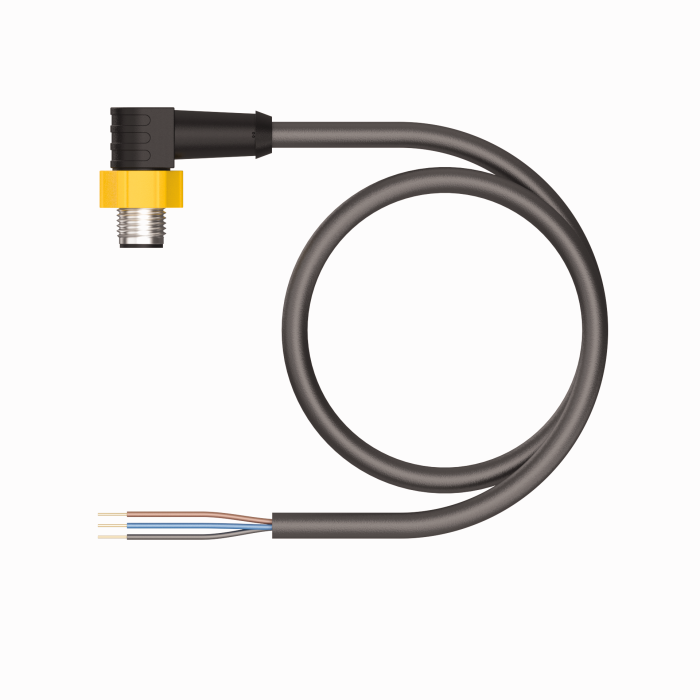 Actuator and Sensor Cable - Connection Cable (ESWL-A4.300-GC2K-10)