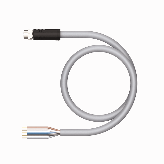 Powerfast™ Cordset - Connection Cable (RKP56PL-10)