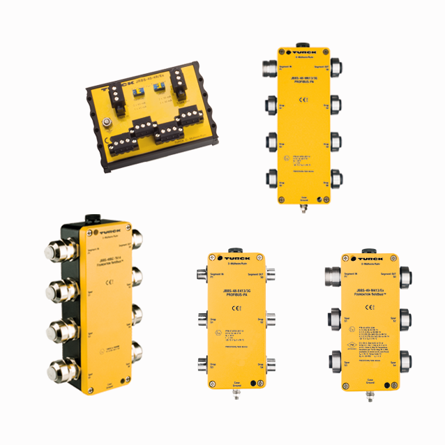 Foundation Fieldbus and PROFIBUS-PA